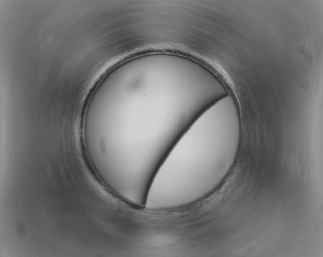 X0000114100895200910051228