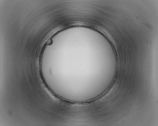 X0000114100898200910051228