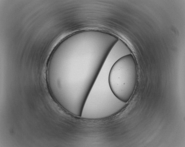 X0000114100899200910051228