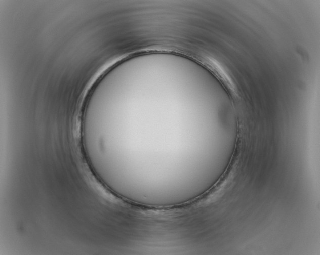 X0000114100900200910051228
