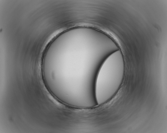 X0000114100902200910051228