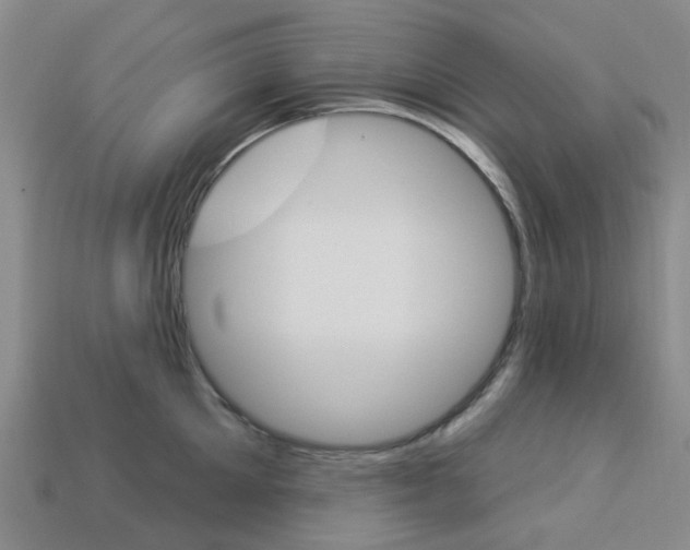 X0000114100905200910051228