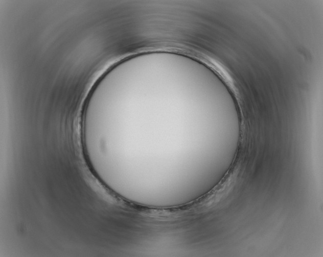 X0000114100907200910051228
