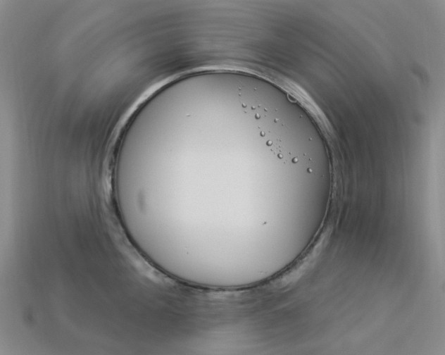 X0000114100908200910051228