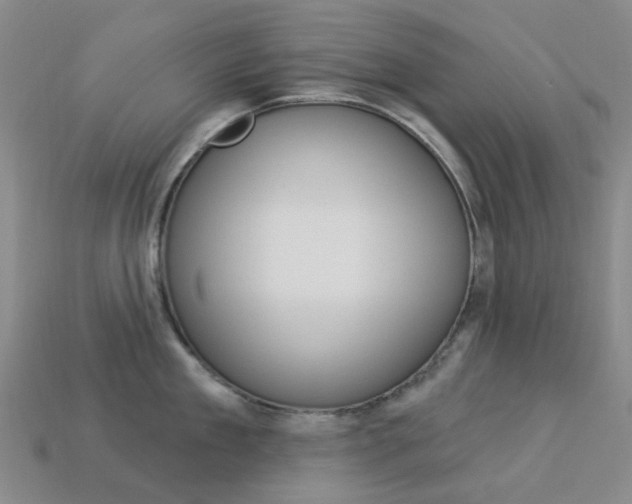 X0000114100909200910051227