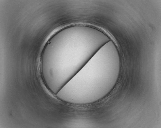 X0000114100911200910051227