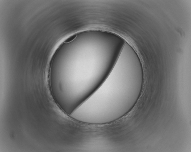 X0000114100912200910051227