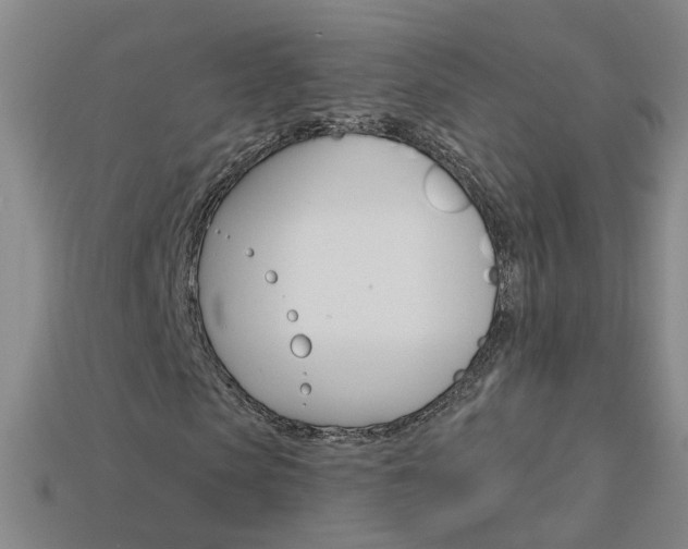 X0000114100913200910051227