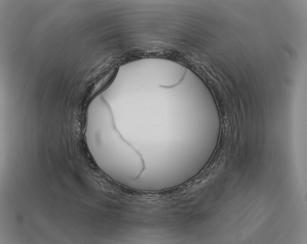X0000114100916200910051227