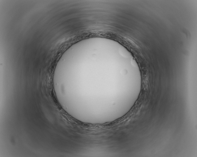 X0000114100917200910051227