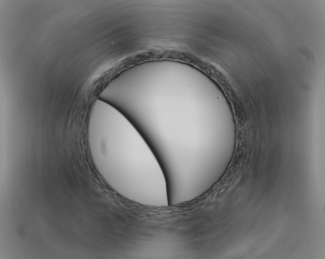 X0000114100919200910051227