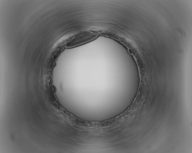 X0000114100920200910051227