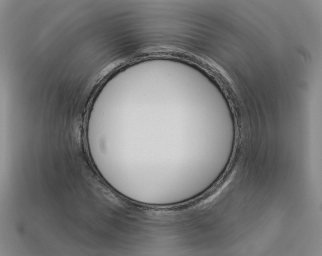 X0000114100921200910051227