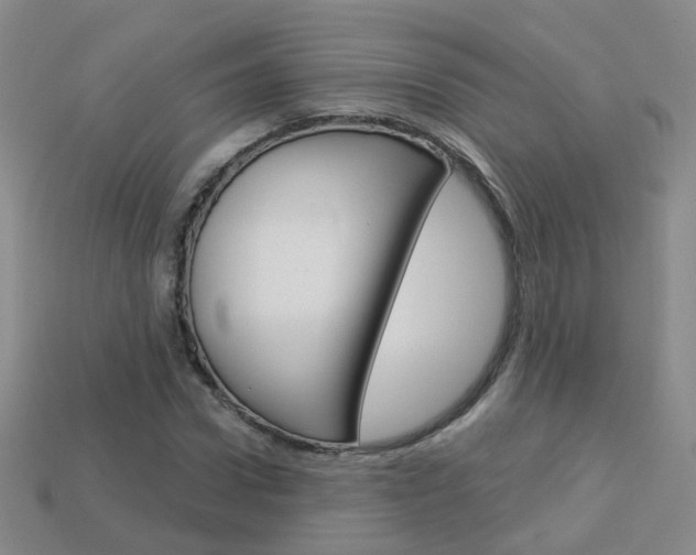 X0000114100922200910051227