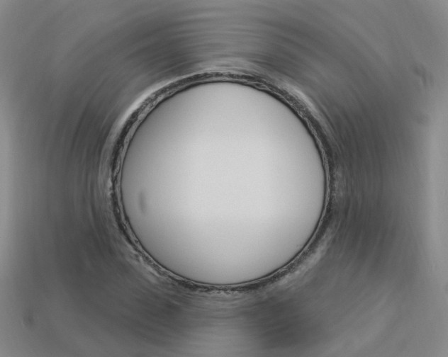 X0000114100923200910051227