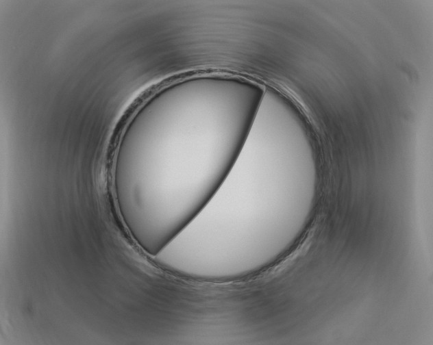 X0000114100924200910051227