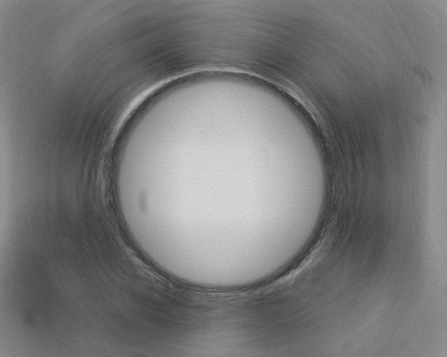 X0000114100926200910051227