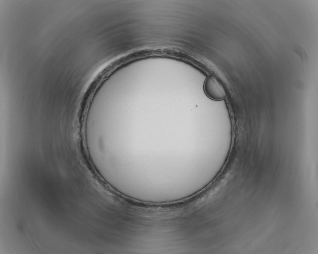 X0000114100927200910051227