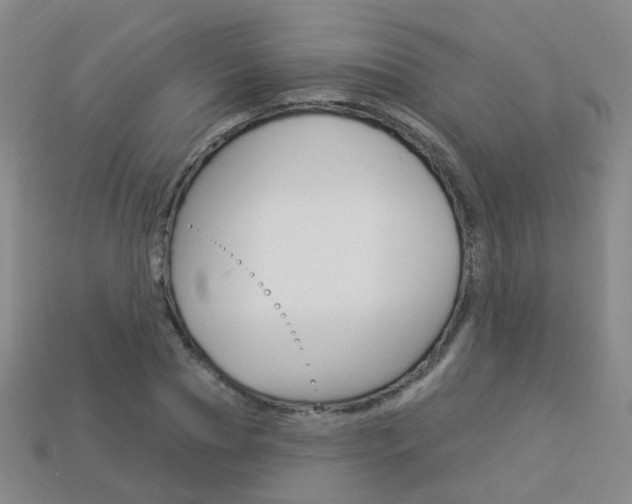X0000114100929200910051227