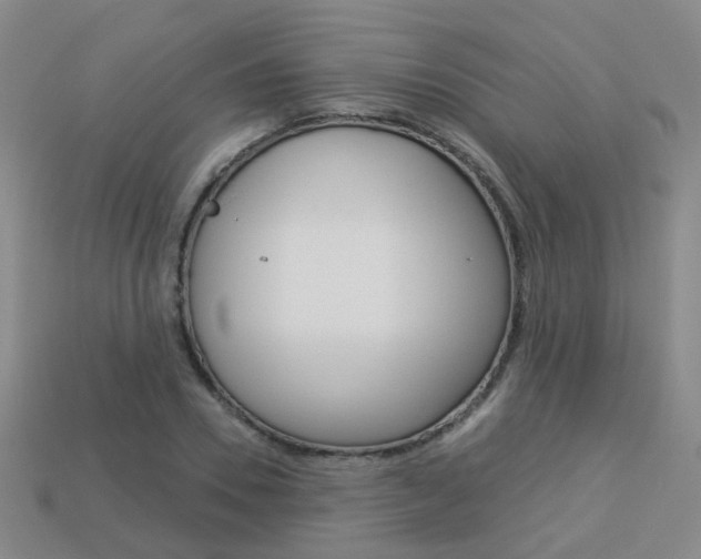 X0000114100930200910051227