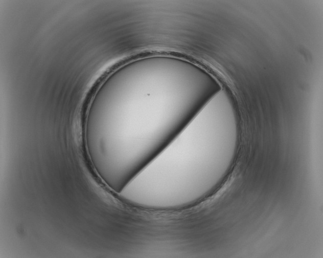 X0000114100934200910051227