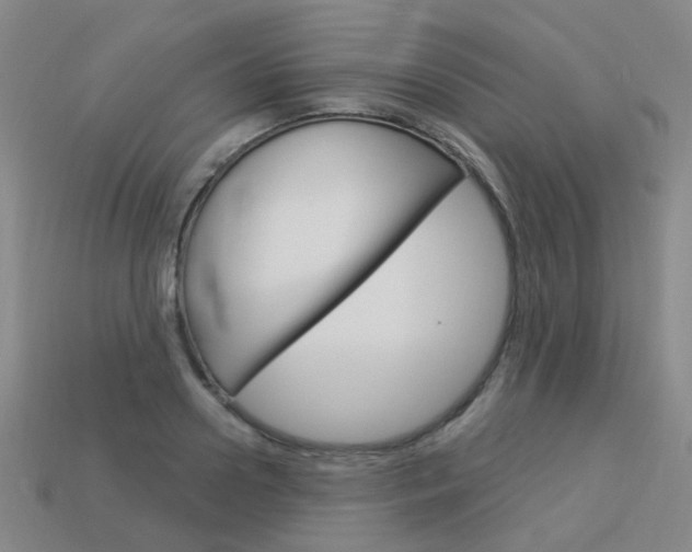 X0000114100938200910051227