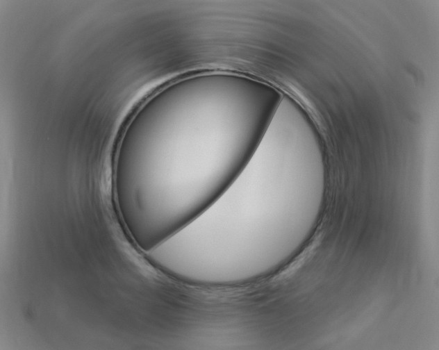 X0000114100940200910051227