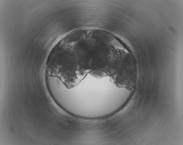 X0000114100941200910051227