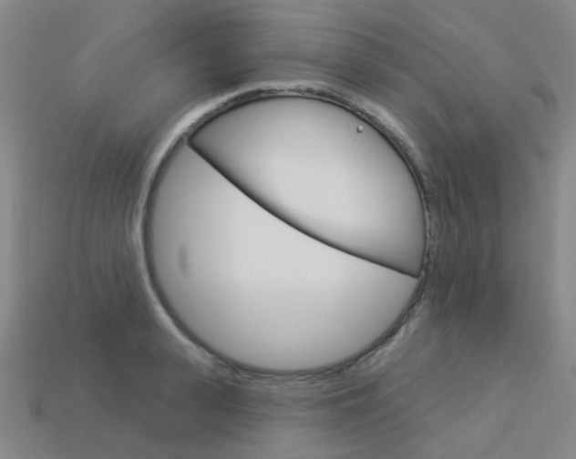 X0000114100943200910051227