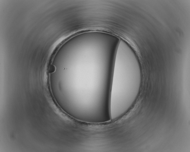 X0000114100944200910051227