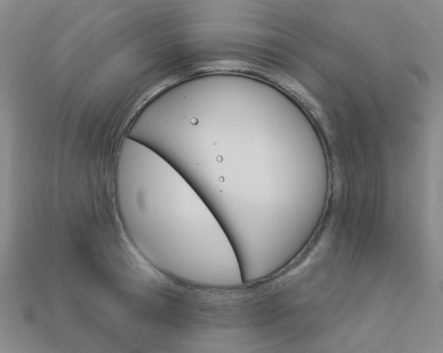 X0000114100945200910051227