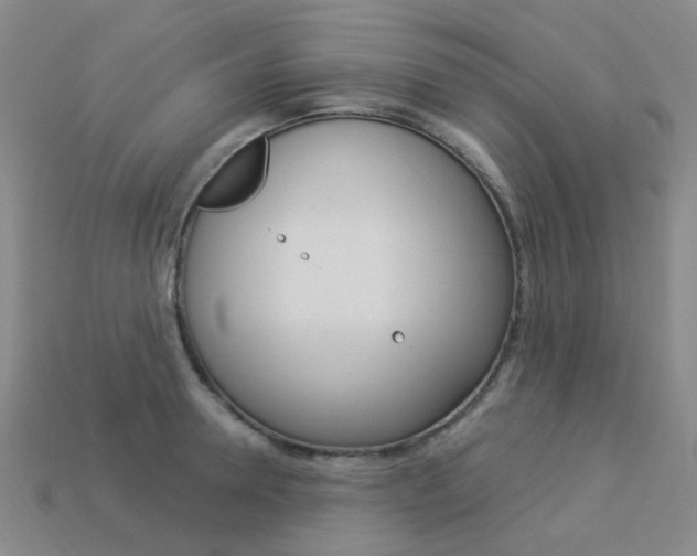 X0000114100946200910051227