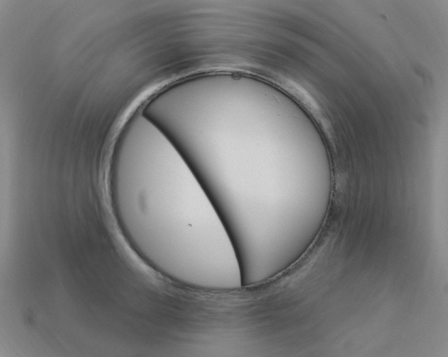 X0000114100947200910051227