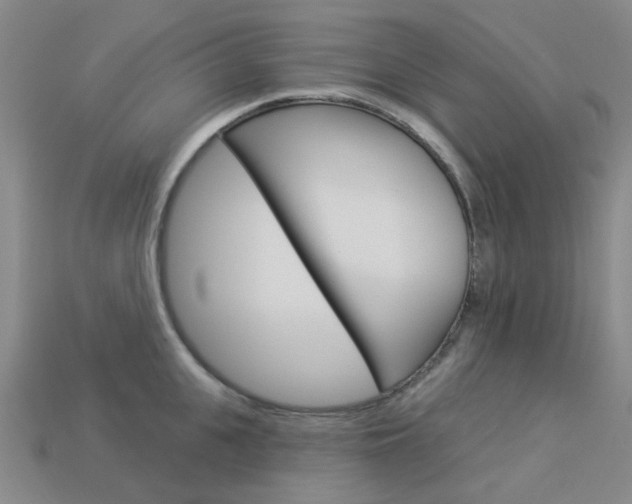 X0000114100951200910051227