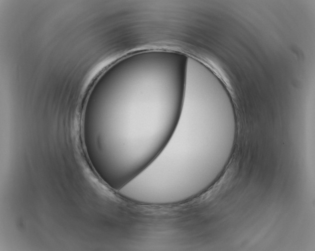 X0000114100952200910051227