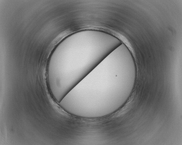 X0000114100954200910051227