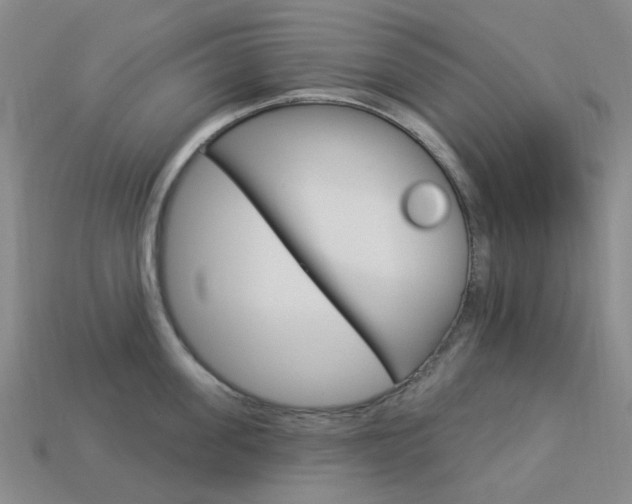 X0000114100955200910051227