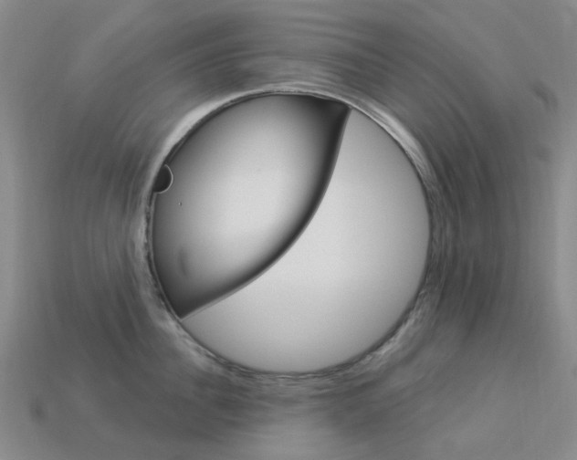 X0000114100956200910051227