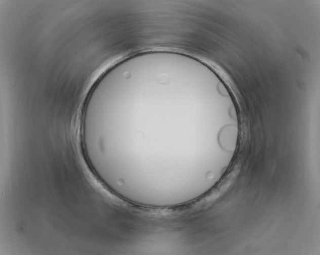 X0000114100957200910051227