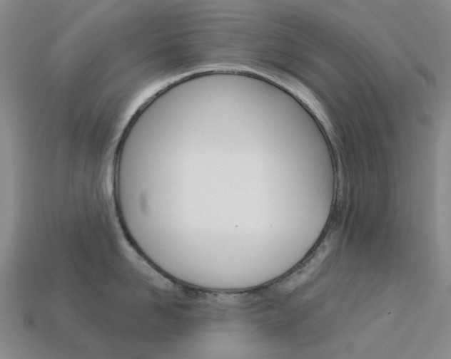 X0000114100958200910051227