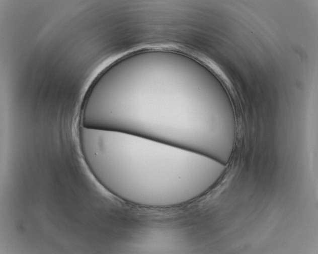 X0000114100959200910051227