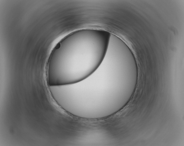 X0000114100960200910051227