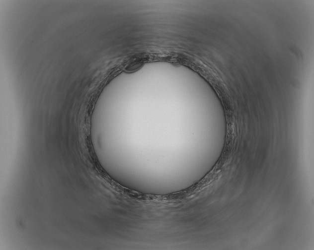 X0000114100961200910051227