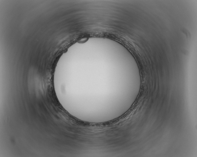 X0000114100964200910051227