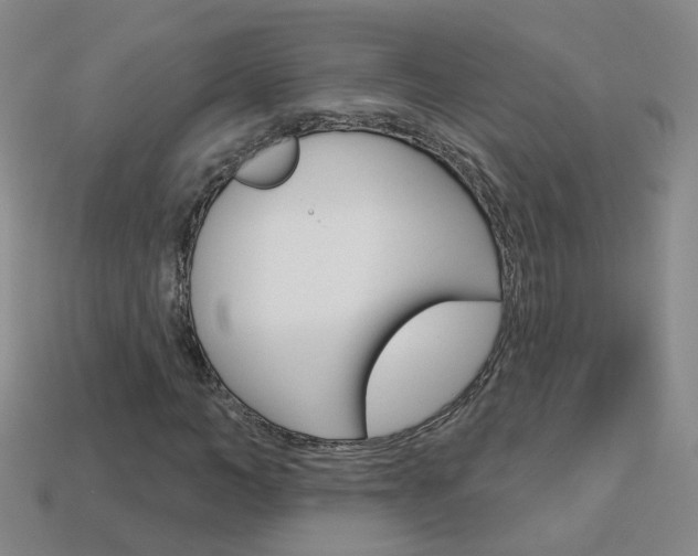 X0000114100966200910051227