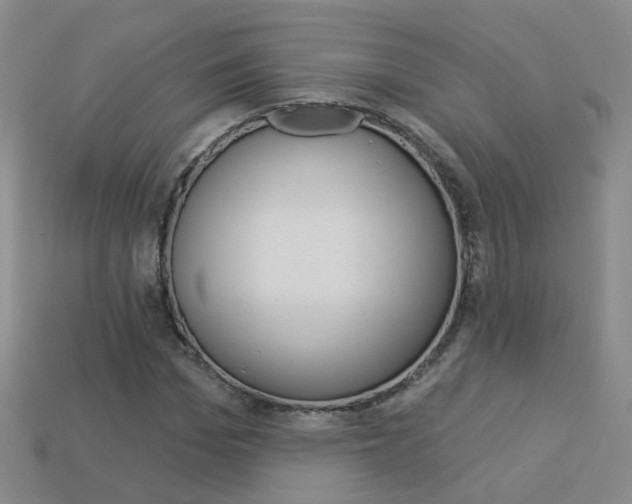 X0000114100969200910051227