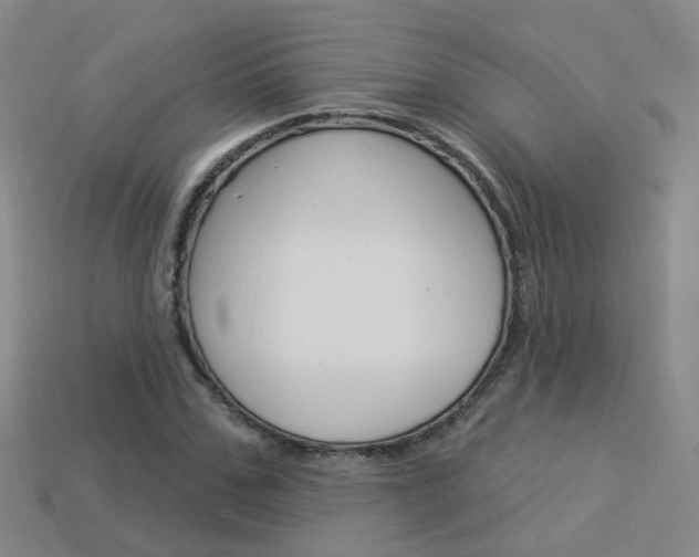 X0000114100971200910051227