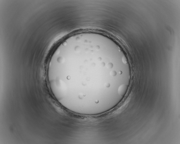 X0000114100974200910051227