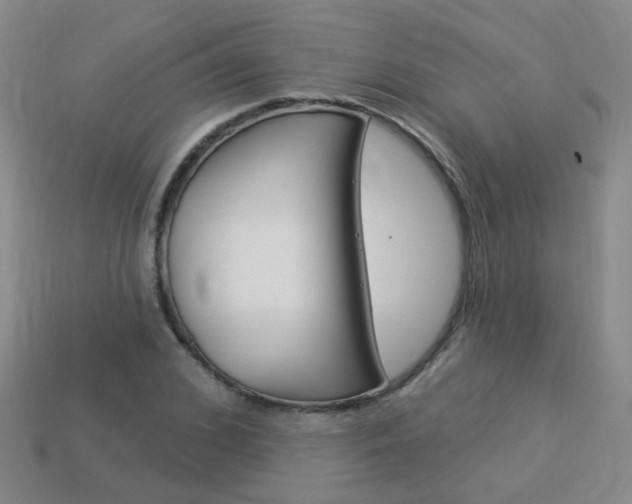 X0000114100976200910051227
