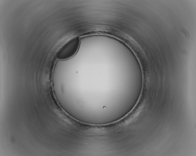X0000114100977200910051227